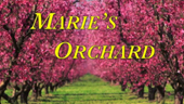 Marie's Orchard